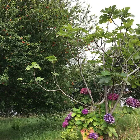 O Souto De Tella, Costa Da Morte *