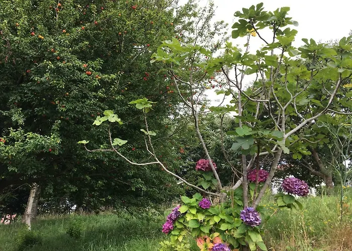 O Souto De Tella, Costa Da Morte *