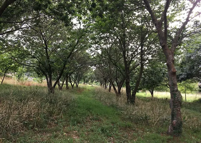 O Souto De Tella, Costa Da Morte 別荘 Ponteceso