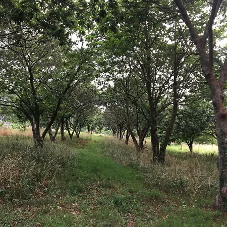 O Souto De Tella, Costa Da Morte 度假居 Ponteceso